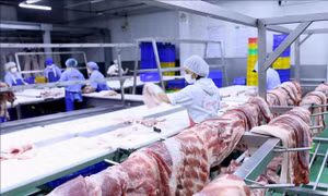 Nhập khẩu thịt lợn đã tăng trên 200%