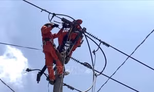 Đồng Nai: Đóng điện trở lại cho hàng trăm hộ dân sau sự cố