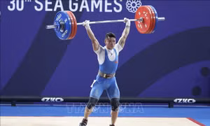 Cử tạ Việt Nam kỳ vọng giành huy chương Olympic