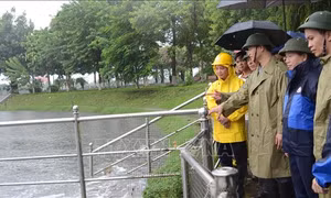 Nhiều diện tích lúa hè thu đã trổ bông tại các địa phương bị ngã đổ