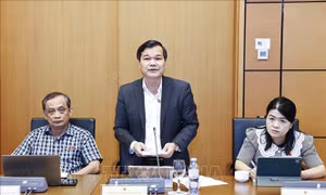 Luật Đầu tư (sửa đổi) cần được thiết kế theo hướng tăng cường hậu kiểm