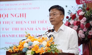 Tập trung thi hành các vụ án thuộc diện Ban Chỉ đạo Trung ương theo dõi, chỉ đạo