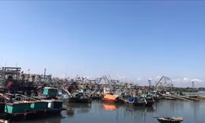 Quảng Ninh tạm dừng khai thác các chuyến bay và cấm biển 