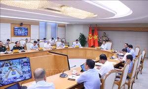 Ưu tiên sửa đổi các quy định là 'điểm nghẽn' trong lĩnh vực nông nghiệp và môi trường
