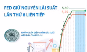 Fed giữ nguyên lãi suất lần thứ 8 liên tiếp