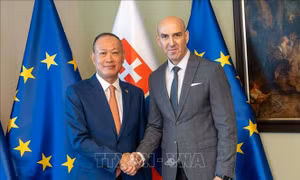 Việt Nam và Slovakia thúc đẩy hợp tác đấu tranh chống tội phạm