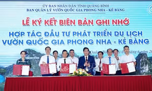 Phát huy hiệu quả giá trị Di sản thiên nhiên thế giới Vườn quốc gia Phong Nha - Kẻ Bàng