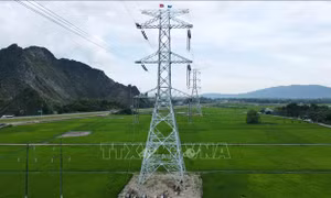 Đóng điện Dự án đường dây 500kV mạch 3 cung đoạn Quỳnh Lưu – Thanh Hóa