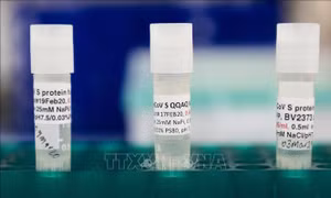 Vaccine ngừa COVID-19 của công ty Moderna thử nghiệm hiệu quả trên khỉ