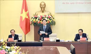 Đảng đoàn Quốc hội làm việc với Ban Thường vụ Thành ủy Thành phố Hồ Chí Minh
