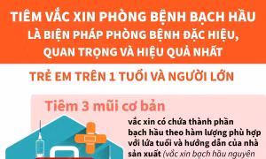 Lịch tiêm vắc xin phòng, chống bệnh bạch hầu cho trẻ trên 1 tuổi và người lớn