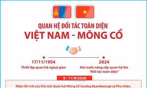 Quan hệ Đối tác toàn diện Việt Nam - Mông Cổ