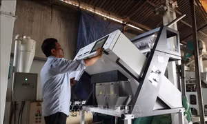 Vượt qua khó khăn từ các chính sách hỗ trợ hợp tác xã