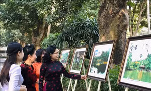 Khai mạc triển lãm 'Dòng cảm xúc từ Khu Di tích Chủ tịch Hồ Chí Minh tại Phủ Chủ tịch'