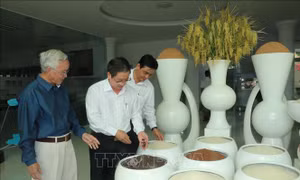 Cần Thơ mong muốn doanh nghiệp đồng hành cùng thành phố phát triển tăng tốc trong năm 2022