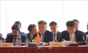 Việt Nam chia sẻ kinh nghiệm tại Hội nghị quốc tế về phòng, chống chủ nghĩa cực đoan bạo lực  