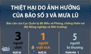 Thiệt hại do ảnh hưởng của bão số 3 và mưa lũ