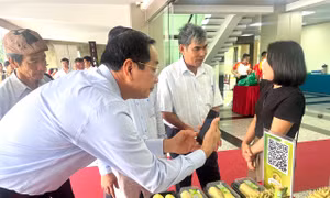 Chuyển đổi số - động lực phát triển kinh tế, xã hội - Bài cuối: Tạo hệ sinh thái chuyển đổi số