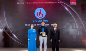 Viglacera được vinh danh 'Top 50 Công ty kinh doanh hiệu quả nhất Việt Nam 2024' và 'Bất động sản tiêu biểu 2024'