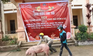 Kon Tum: Đảm bảo không để dân đói, rét khi đón tết 