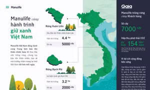 Manulife Việt Nam cùng khách hàng trồng rừng, hướng tới tương lai bền vững 