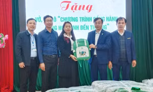 Quỹ Bảo vệ và phát triển rừng Sơn La đồng hành cùng học sinh đến trường