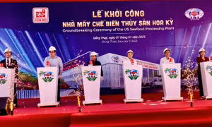 Xây dựng nhà máy chế biến thủy sản 700 tỷ đồng