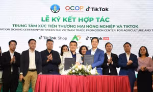 Nâng cao năng lực chuyển đổi số cho chương trình OCOP quốc gia