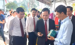 Đồng Nai thu hút đầu tư trồng cây dược liệu