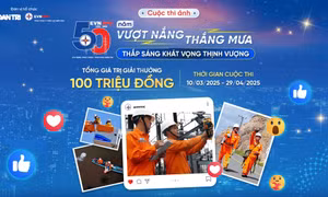 Ngành điện miền Nam tổ chức 3 cuộc thi đặc biệt 