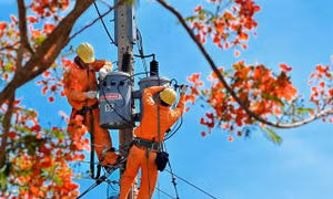 EVNSPC đảm bảo cung cấp điện ổn định và an toàn trong dịp lễ Quốc khánh (2/9)
