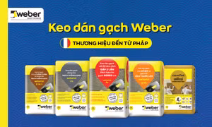 Saint-Gobain Việt Nam và Ricons công bố kết quả thực nghiệm độ bám dính giữa keo dán gạch và hồ dầu