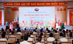 Đại hội đại biểu Đảng bộ Công ty Điện lực Lai Châu lần thứ V, nhiệm kỳ 2025 - 2030