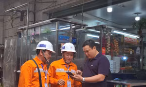 TP Hồ Chí Minh: Lượng điện tiêu thụ cho sinh hoạt giảm mạnh 