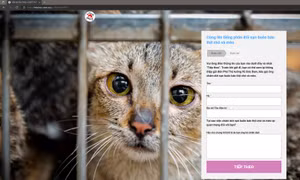 FOUR PAWS phát động chiến dịch nhằm chấm dứt nạn buôn bán thịt chó và mèo