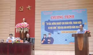 Lý Sơn tăng cường tư vấn hướng nghiệp cho học sinh cuối cấp  