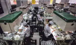 EVNSPC: Nhiều giải pháp đảm bảo an toàn hệ thống điện khi biến động mạnh giữa cung - cầu