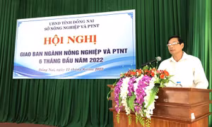 Đồng Nai kịp thời tháo gỡ các khó khăn, vướng mắc nông nghiệp, nông thôn gắn với xây dựng nông thôn mới
