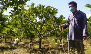 Các sản phẩm OCOP từng bước khẳng định được thương hiệu trên thị trường