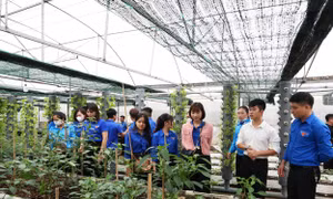 Đồng hành với thanh niên lập thân lập nghiệp