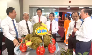 Khơi dậy mạnh mẽ tiềm năng sức sáng tạo của nông dân Đồng Nai trong phát triển sản xuất