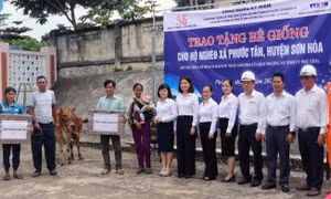 Tổ chức Tháng cao điểm 'Vì người nghèo' năm 2025 đảm bảo đúng đối tượng