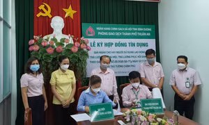 Giải pháp hữu hiệu đảm bảo an sinh xã hội ở Bình Dương