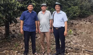 Đồng Nai thành lập Hiệp hội Sầu riêng 