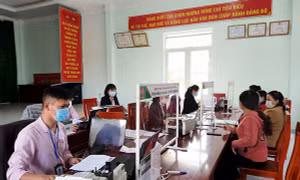 Sức sống mới trên miền đất Nam Tây Nguyên