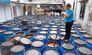Tín dụng chính sách giúp người dân Quỳnh Lưu làm giàu chính đáng