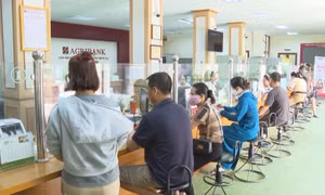 Điểm tựa cho người dân phát triển kinh tế gia đình 