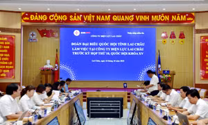 Đoàn Đại biểu Quốc hội tỉnh làm việc với Công ty Điện lực Lai Châu