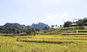 Phát triển kinh tế - xã hội ở huyện miền núi Đồng Hỷ - Thái Nguyên