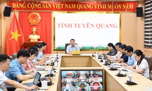 Tuyên Quang: Khẩn trương hoàn thiện các trường phổ thông nội trú liên cấp 